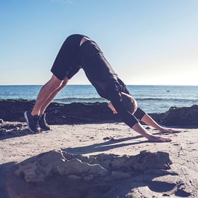 functional training plank walkout